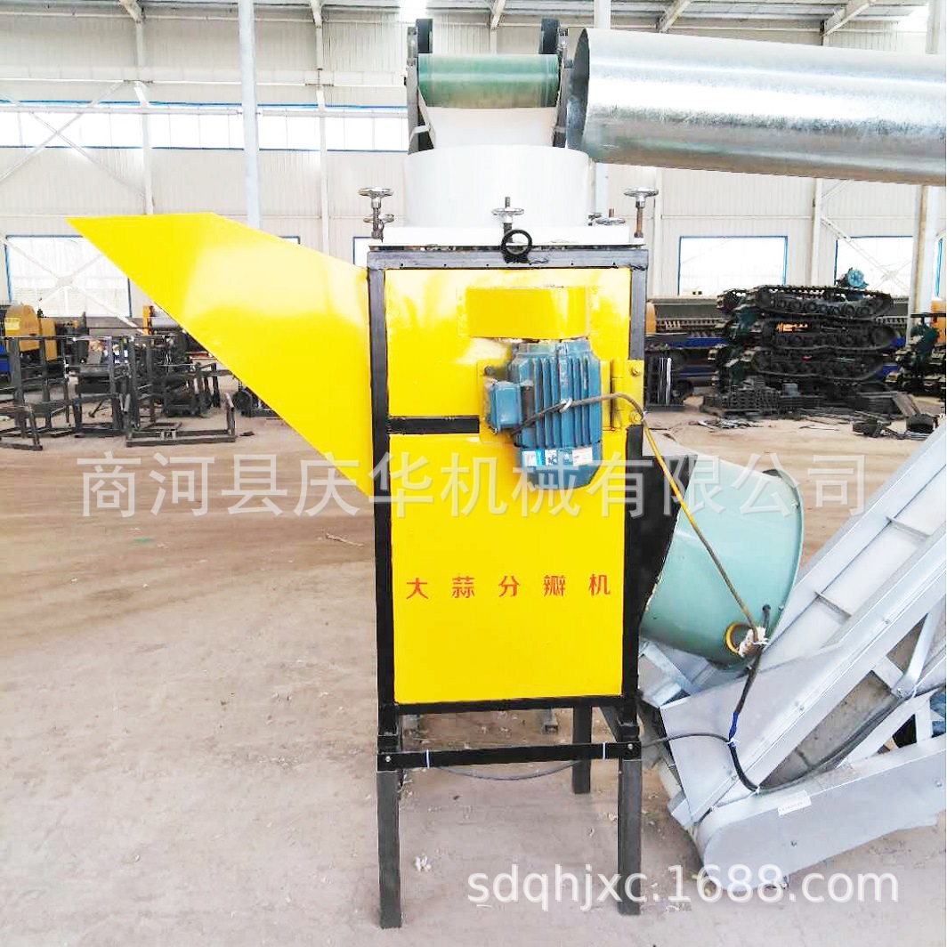 庆华大蒜分瓣分选机 大蒜分瓣机 蒜种破瓣机