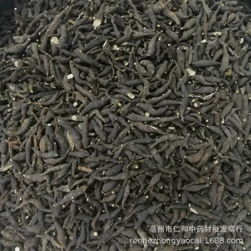 Dried Liang Tou Jian Root 500g Traditional Chinese Herb for Decoction and Herbal Soup key features