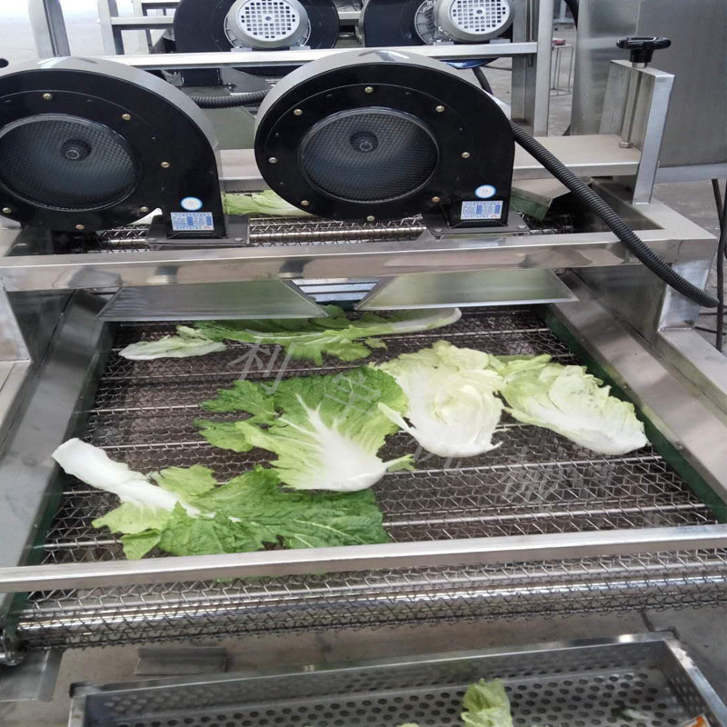 厂家直销大枣气泡清洗机 不锈钢果蔬清洗机 高压气泡喷淋清洗