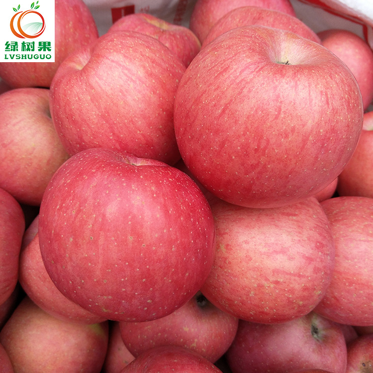 云岭鳌山果正宗纸袋红富士苹果水果新鲜采摘精品小果5/十斤包邮|ru