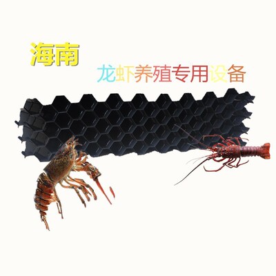 泰赢pvc黄鳝养殖巢江苏安徽湖北湖南主用人工蜂窝鳝巢批发龙虾巢