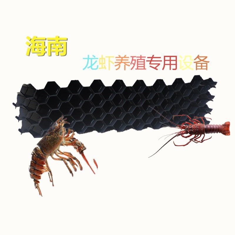 泰赢pvc黄鳝养殖巢江苏安徽湖北湖南主用人工蜂窝鳝巢批发龙虾巢