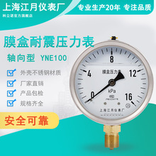 �Ϻ�����YNE100Ĥ�Љ�����ȼ��΢����0-10-40-100KPA���ؓ������