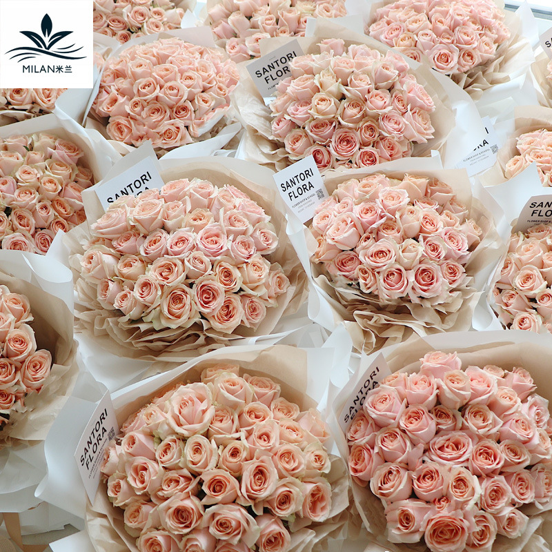 Papel de pera monocromo papel de regalo de la flor papel de regalo ramo de mano papel de revestimiento papel arruga papel de mantenimiento de la mano fresco coreano