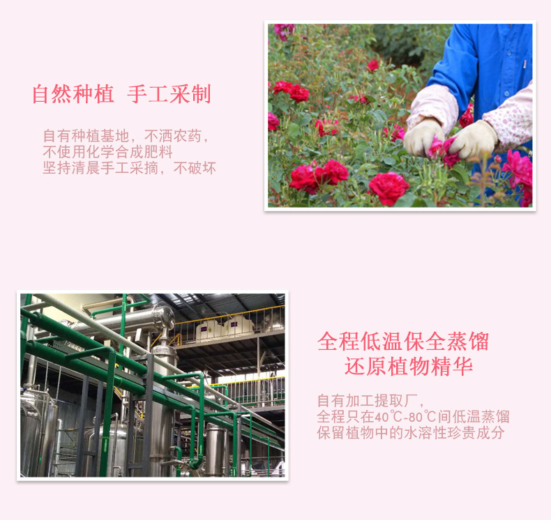 麦子玫瑰纯露详情页第一版_04