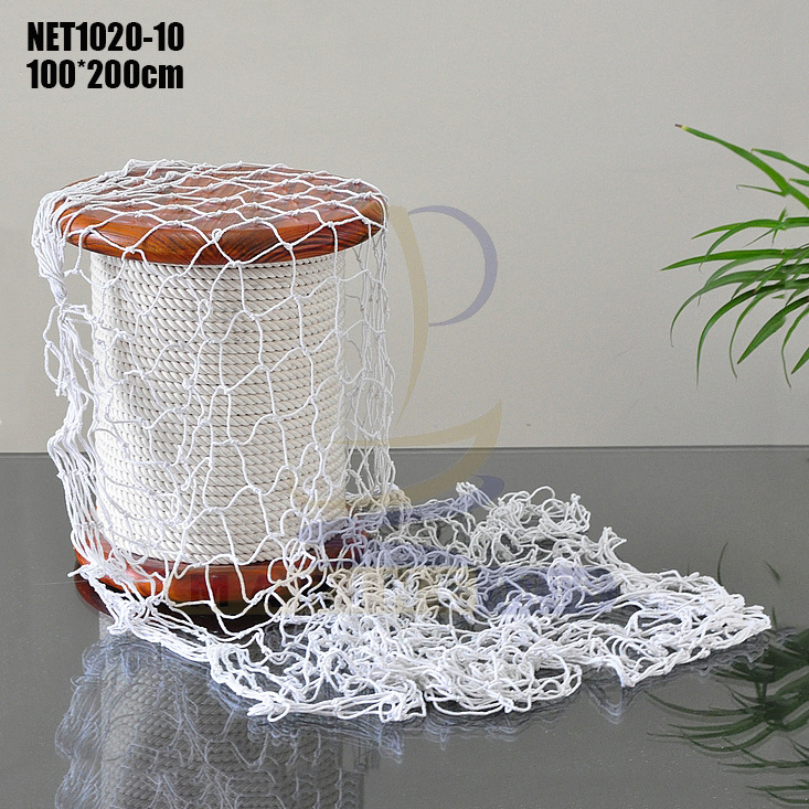 NET1020-10
