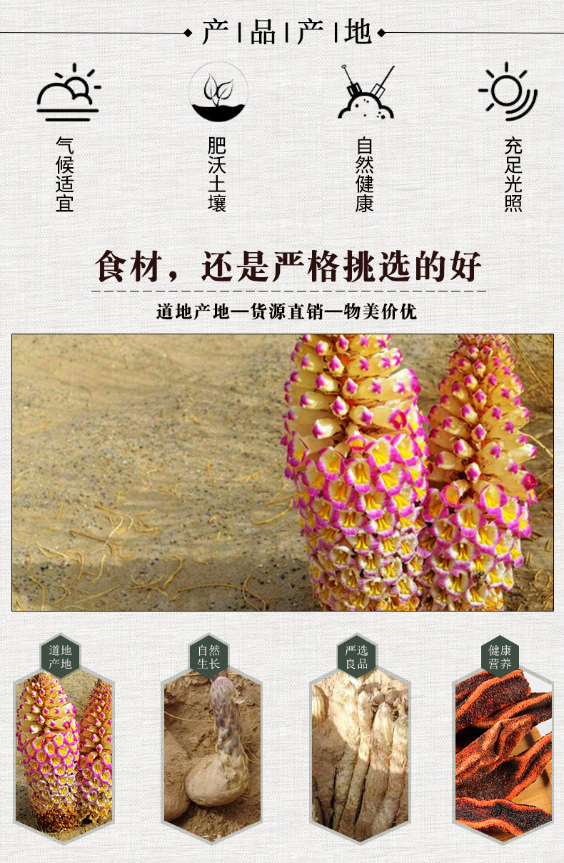 Hui Chun Cao Dried Herb (Herba Cistanche-like Tonic) — Yunnan Wild-Crafted 100g Jar for Cooking overview