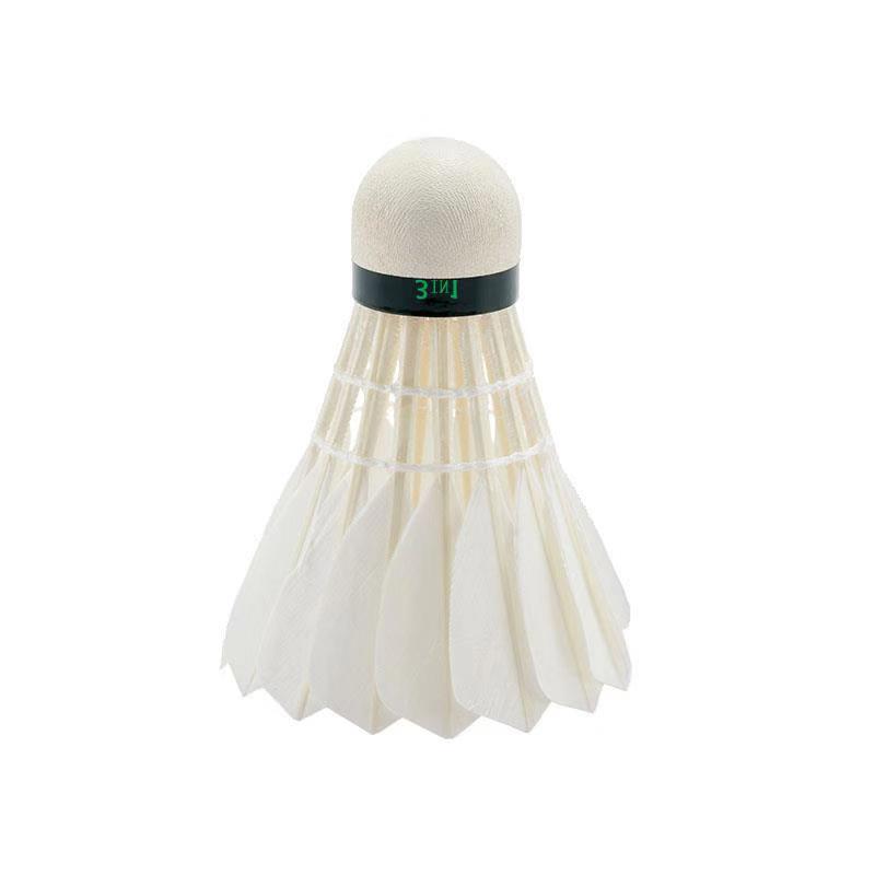 WeChat Picture_20191128091558