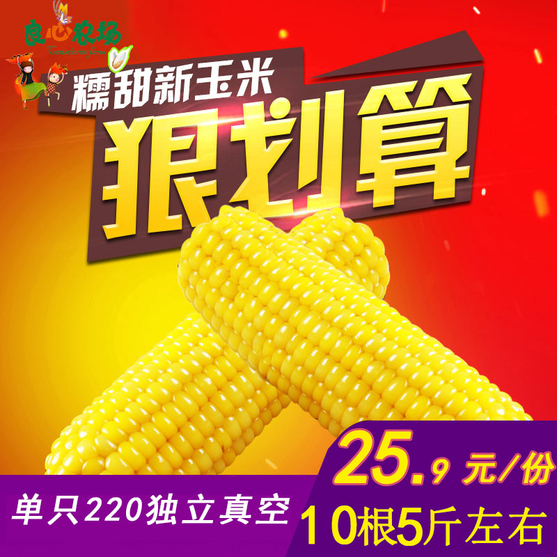 东北糯玉米棒黄玉米粘糯10根5斤真空玉米熟玉米厂家批发一件代发|ms