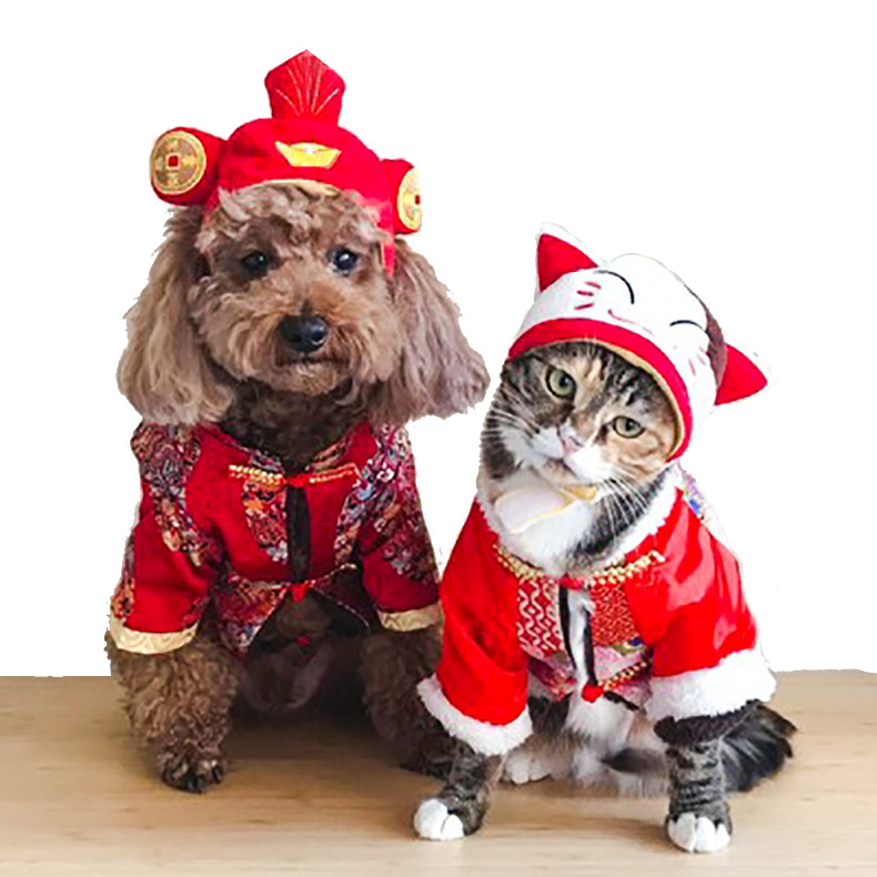 Корона для кошек Pet Taro (средний размер)