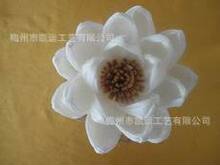 ԭƤо˯ɏ��ͨ�ݻ�,�o����޹��ˇƷ���Ҿӡ��b�Ʒ��sola flower