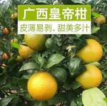 �ʵ۸̹����ʵ۸̴������ˮ��9���ָ������۽����ӹ���ɰ�ǽ���