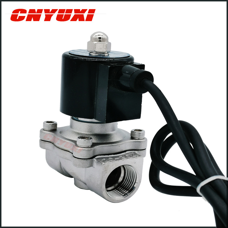 CNYUXI 304 Stainless steel outdoors Dedicated Valve waterproof Solenoid valve 2S200-20 220V/12V/24V