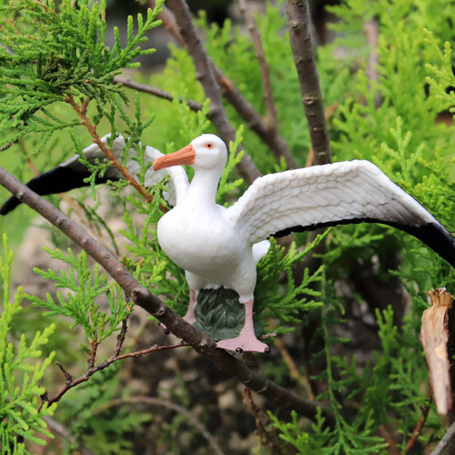 Simulated static wildlife world model, solid bird model, albatross children's plastic toy ornaments