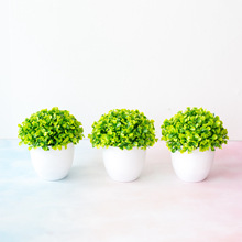 盆栽图片 盆栽图片品牌 图片 价格 盆栽图片批发 阿里巴巴