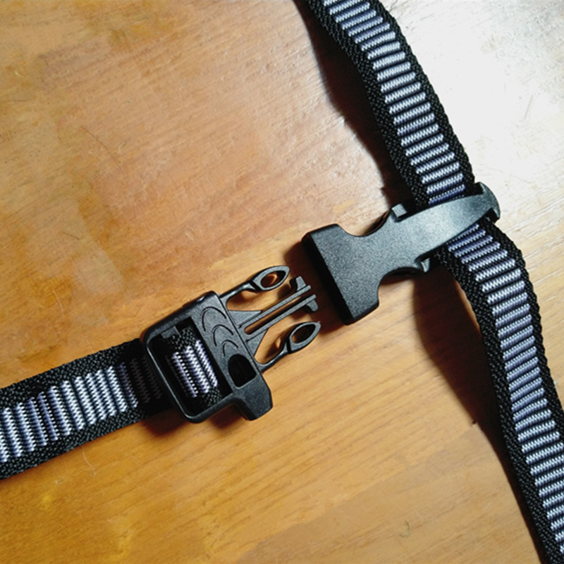 IMG_20190831_101919R