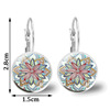 Accessory, glossy earrings, suitable for import, European style, with gem, wholesale