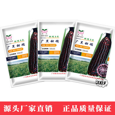 Ya Shi Fengming black Sweet corn Seeds Vegetable seeds Sweet glutinous rice Corn seeds 200 gram