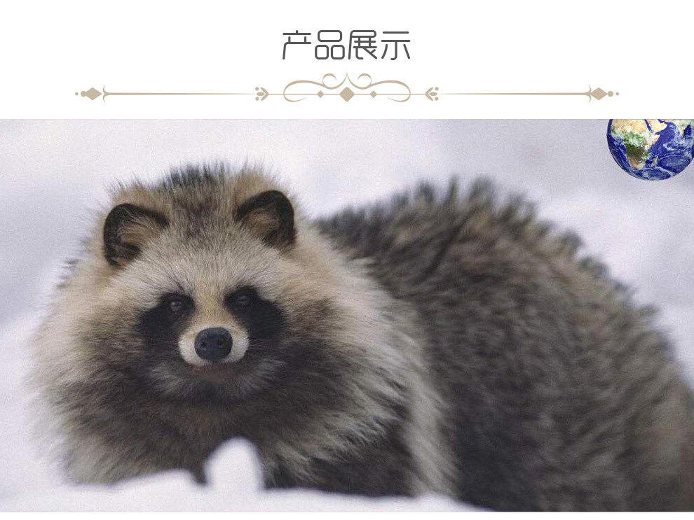 详情_04.jpg