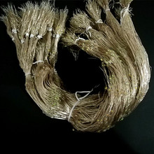 ��10����ÿ�l��led�~�z���~�����W��S��ֱ�N�y�����b������l