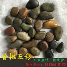 南京精品雨花石鵝卵石五彩 拋光彩色石頭鵝卵石園林景觀工程石