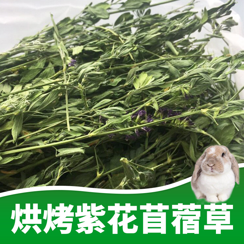 紫花苜蓿草干草毛重1kg 箱宠物兔子龙猫苜蓿草牧草豚鼠草粮 阿里巴巴