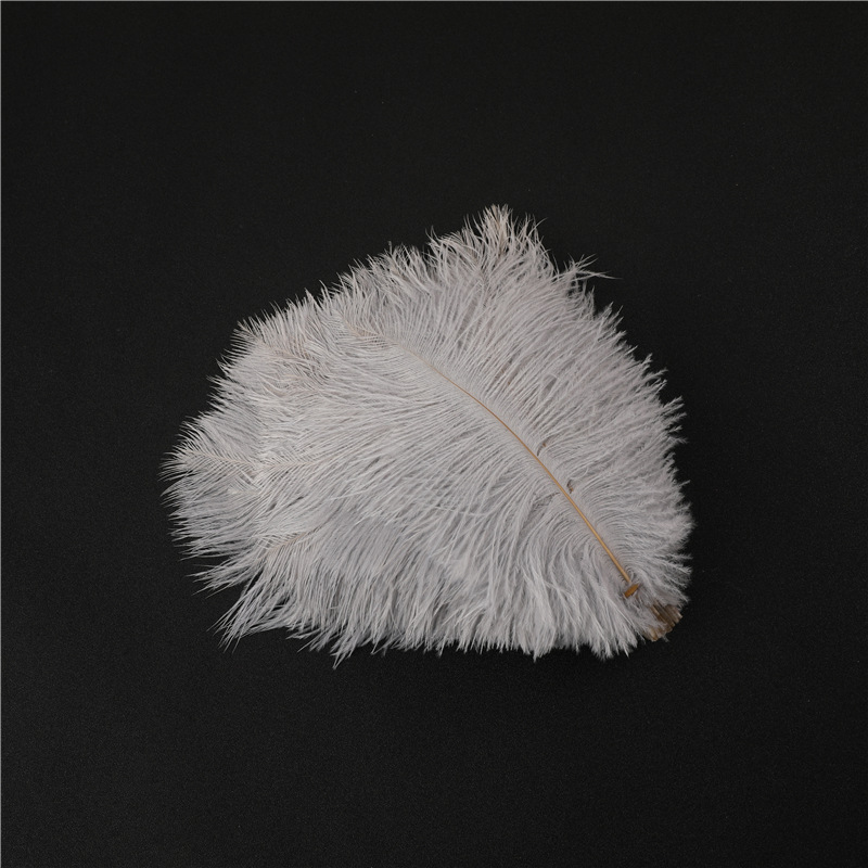 Capture One Catalog14599