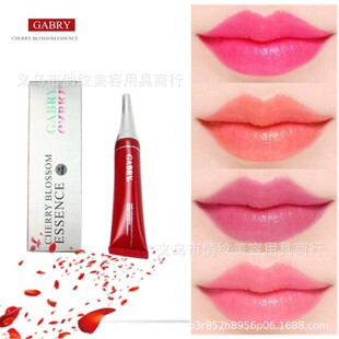 ���N�ΰ������ļt���AGABRY�t���ش���־÷�ˮ�ۿڼt�ؼy������