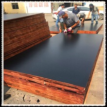 Marine Plywood ʳҳڸ󽺺ϰ  ģ