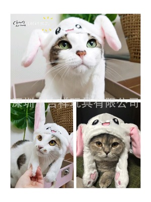 Pet Hat rabbit Headgear Maotou Transfiguration equipment Kitty Headdress Dogs Headgear Trill Rabbit Ears