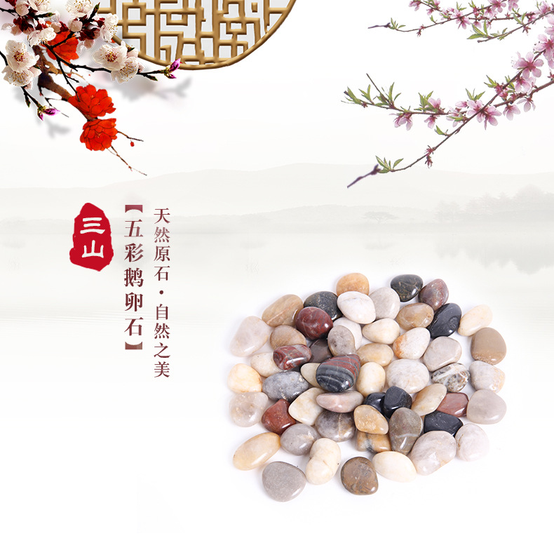 五彩精抛详情页_01