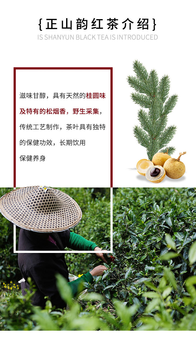 正山韻紅茶_04.jpg