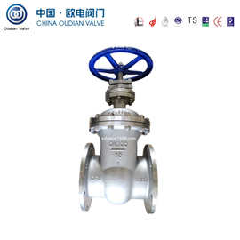 双相钢暗杆闸阀    暗杆法兰闸阀  2205双相钢   暗杆闸阀图片