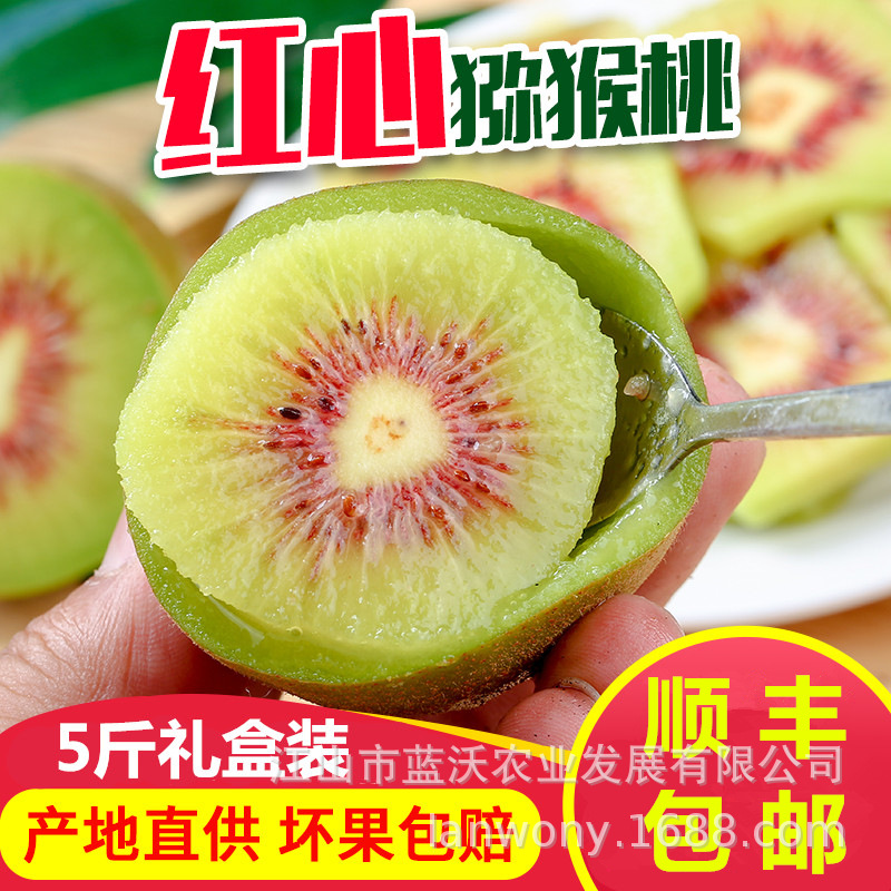 Jiangshan Red Kiwi Kiwi River Cangxi Red Kiwi wholesale