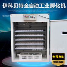 小型孵化机全自动家用型小鸡1056枚大型鸡鸭恒温智能孵蛋箱孵化器