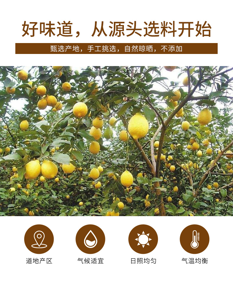 Dried Lemon Slices (Citrus limon) — Unsweetened Sichuan Lemon Tea, 100g Jar key features