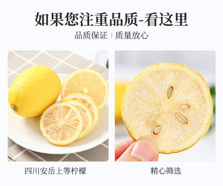 柠檬片-详情_02.jpg