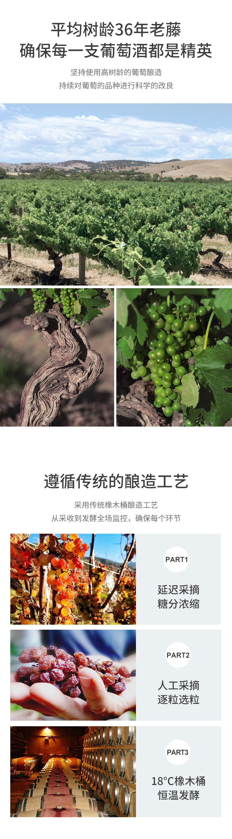 750--玫瑰_08