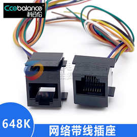 RJ45带线插座 带线网络插座 带卡扣 8P8C插座 648K 8*200mm