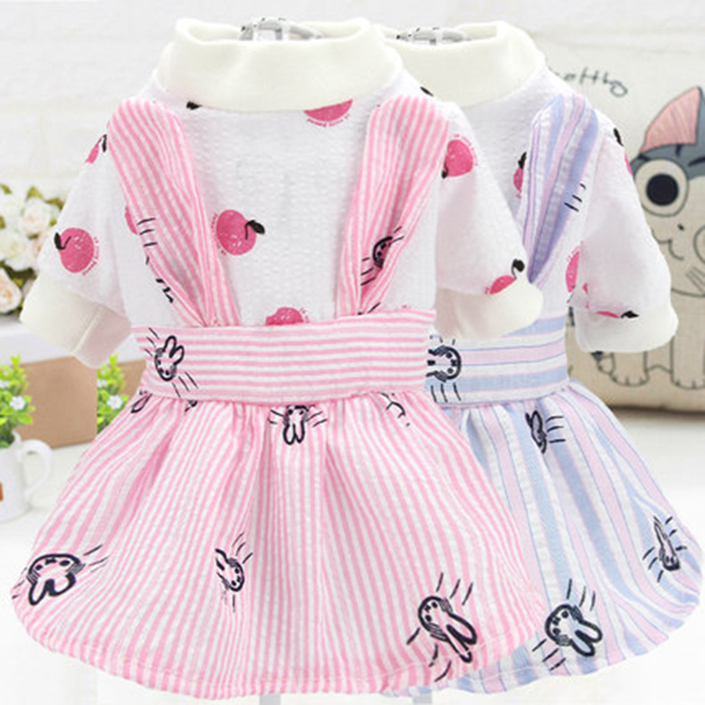 狗狗裙子泰迪公主裙小狗衣服裙子贵宾比熊蓬蓬裙春夏薄款宠物裙子