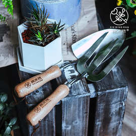 谢冰燃园艺工具小铁铲多肉种植不锈钢铲子套装挖土盆栽绿植