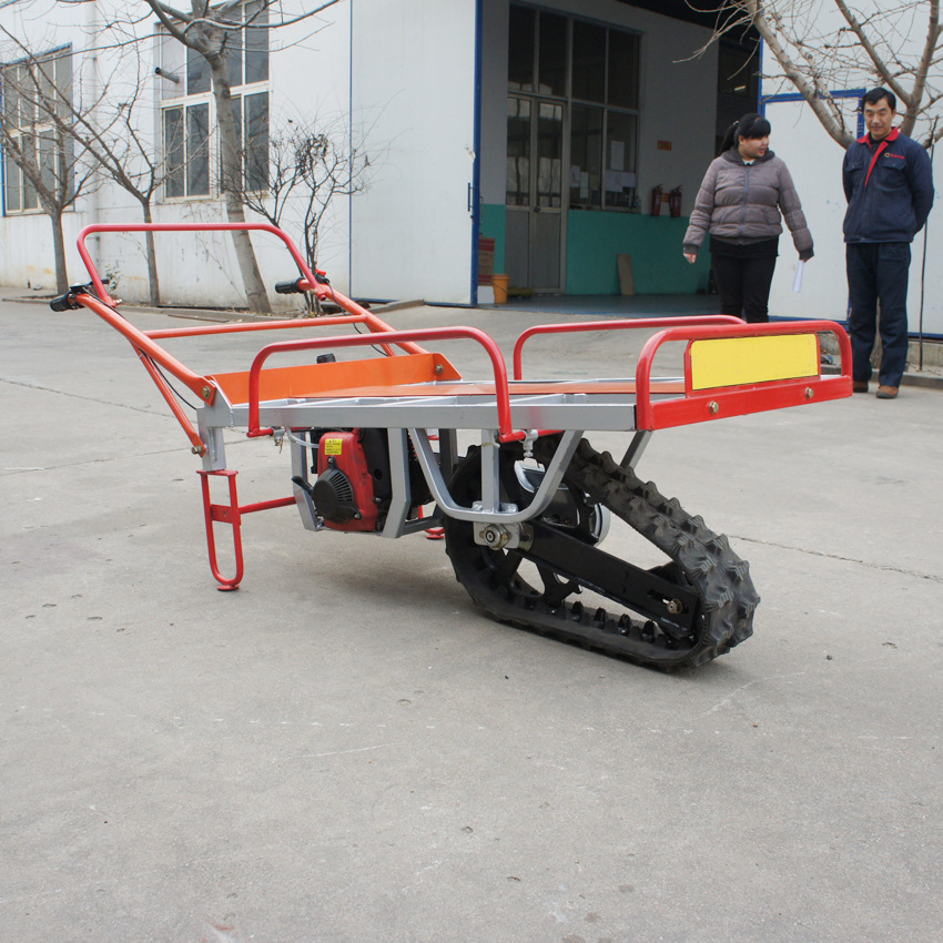 10701227455_498371388