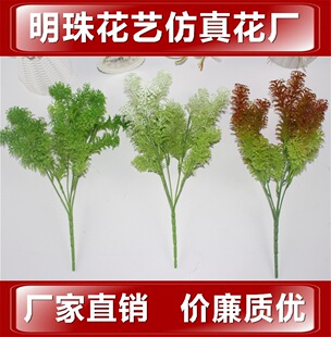 5�25�l��ɫ����� �G�}���~����ֲ�� �b������ٗl���潁��