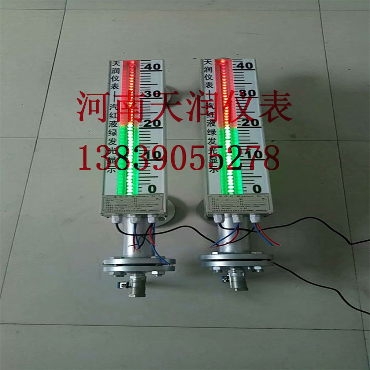 DSJ-6电子双色液位计  锅炉双色液位计 双色水位计