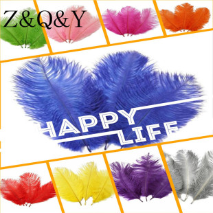Ư��15-20CM�Ϸ��M����ë��Bë�����WDIY�Ʒ��������