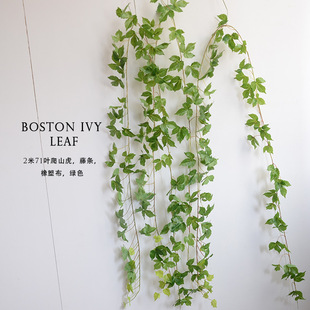 ������ɽ���ٗl�������~���l�͏d�p�@�bܵ���c��Y�ò����Gֲ