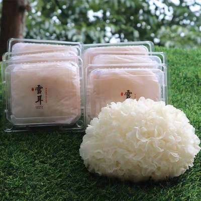 古田新鲜银耳 6朵装精品盒装特级新鲜 雪耳 无硫胶多包邮批发代发|ru