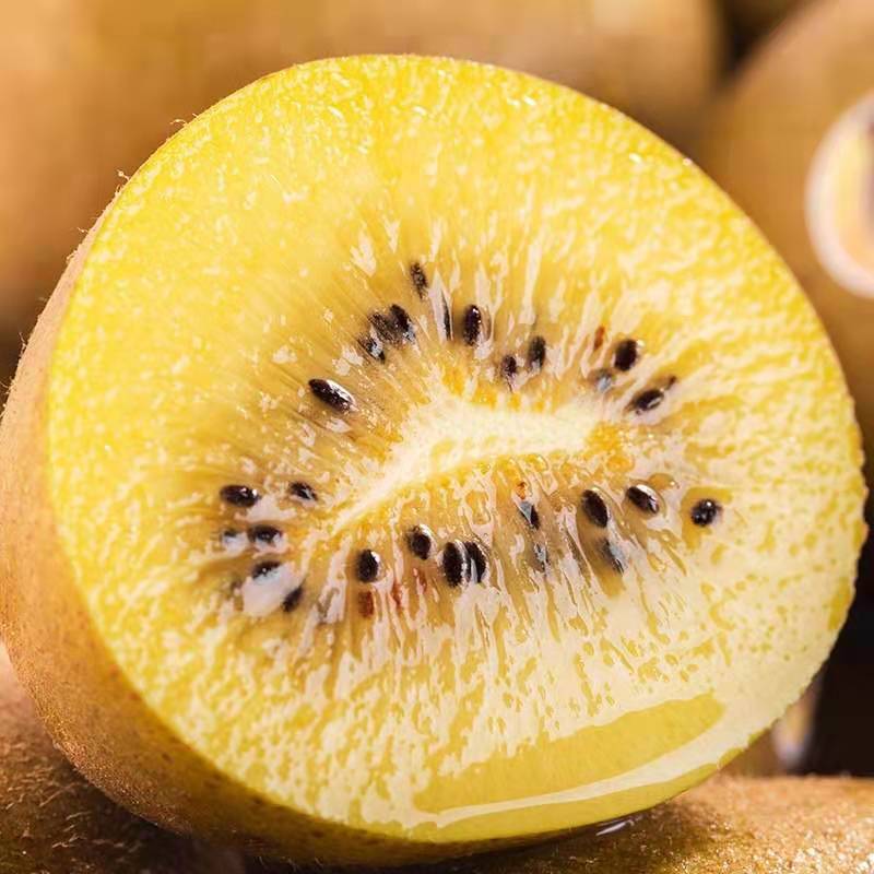 四川浦江黄心猕猴桃应季新鲜水果整箱5斤中大奇异果包邮一件代发