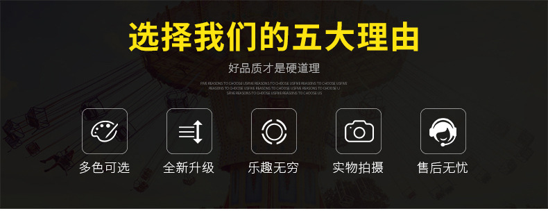 豪华款炫彩碰碰车_02