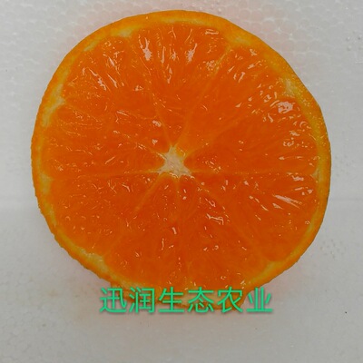 Guangxi Orange skin Home Orchard Direct selling First 5 /8 One Jin for one